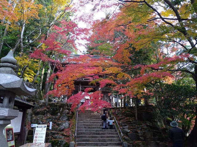 大窪寺の紅葉は今が見頃です 年11月14日 香川の紅葉スポット てくてくポスト